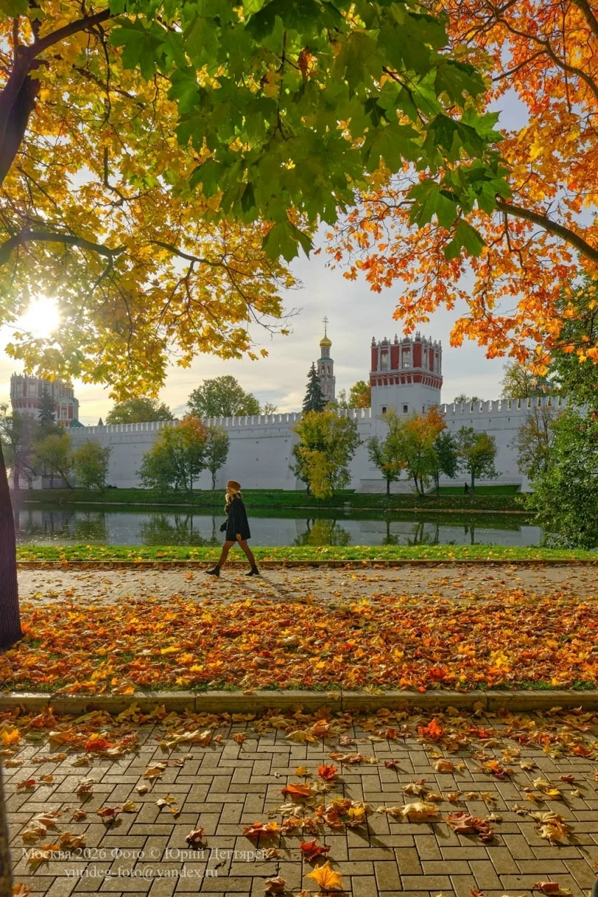Золотая осень в парке Новодевичьи пруды.