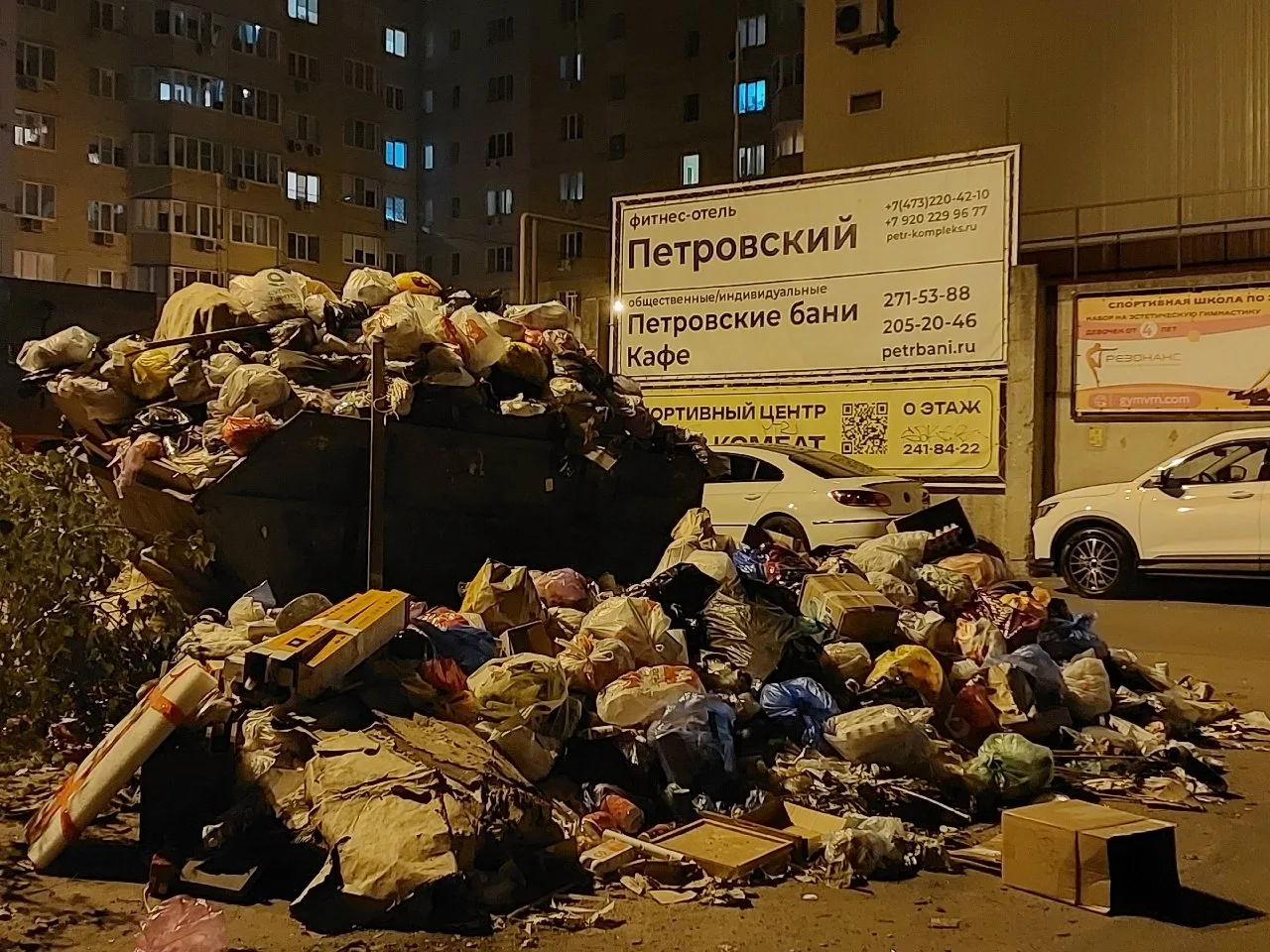 В Воронеже заметили необычную «гору» во дворе