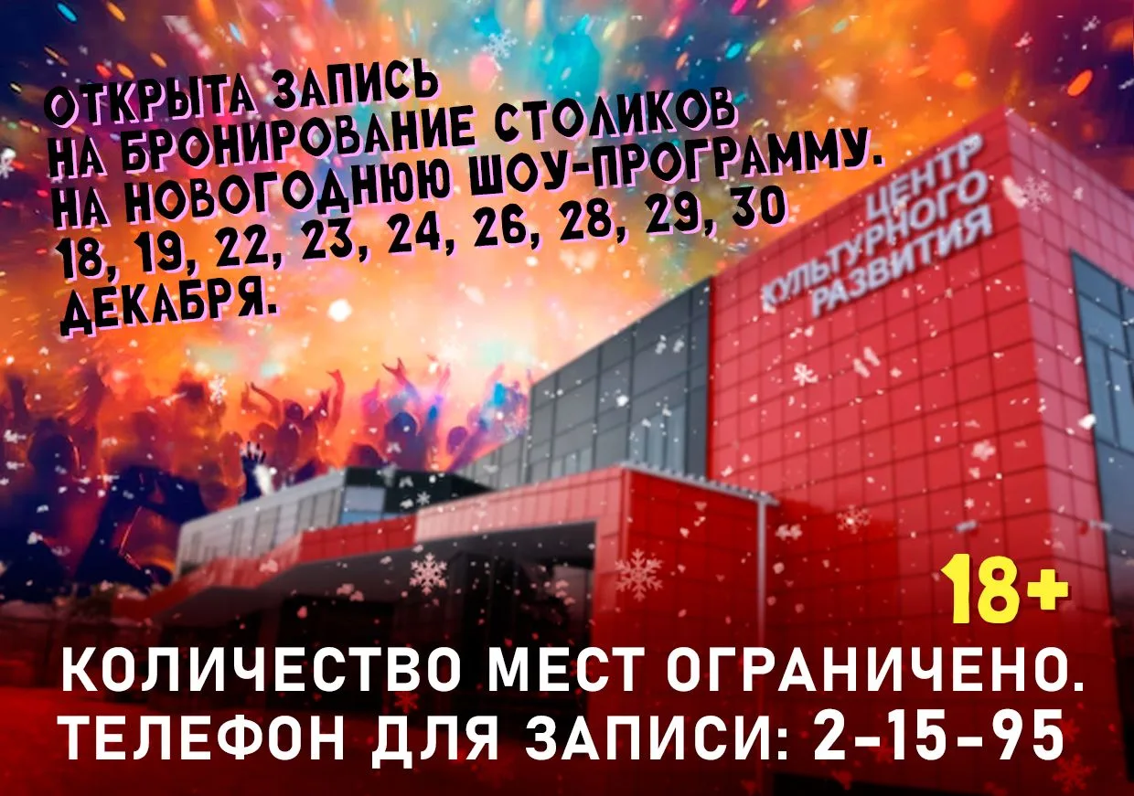 НОВОГОДНЯЯ ШОУ-ПРОГРАММА 2027🎄
