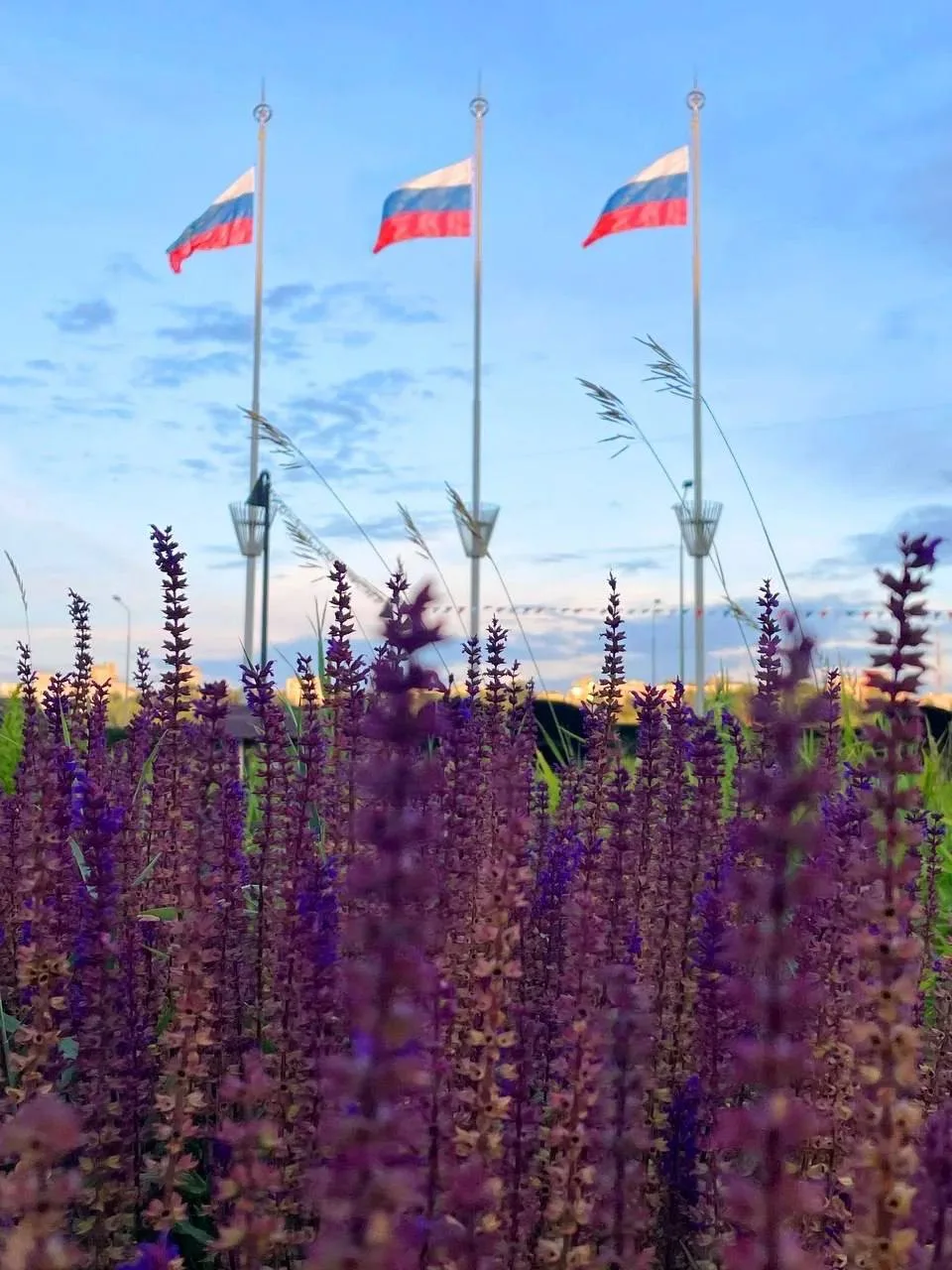 Как отметят День России на Нижегородской ярмарке.

С 12:00 до 19:30 вас ждут: автомобильная выставка