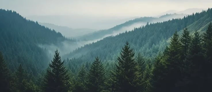 Уважаемые жители и гости Онгудайского района!