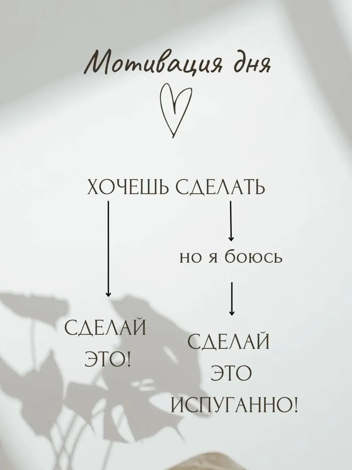 Весов бояться - в зал не ходить!