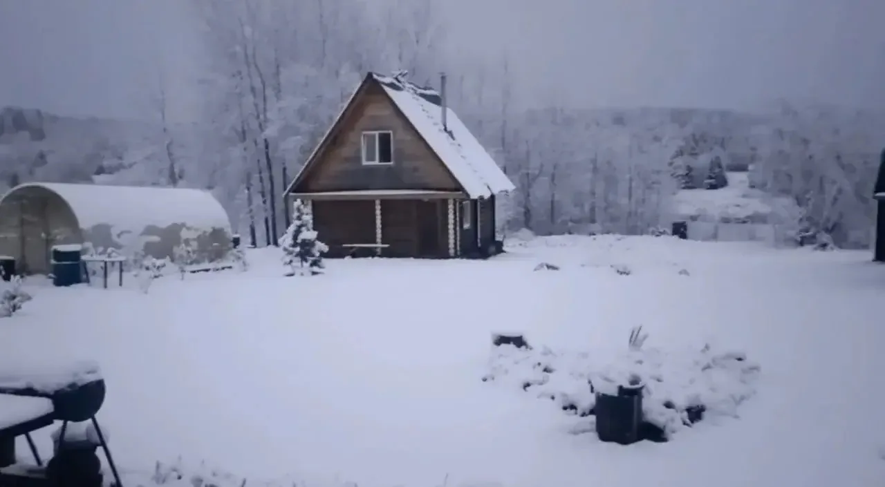 Уральцы активно поздравляют друг друга с Новым годом 😄 Таким было утро 4 октября в Чел...