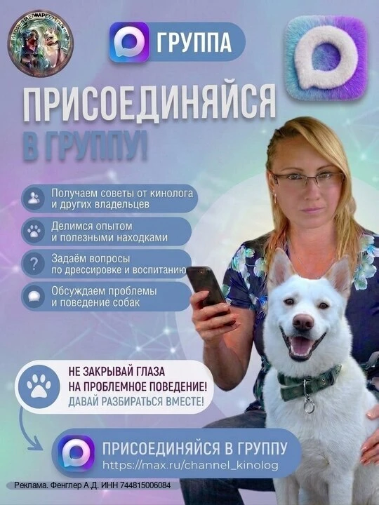 Всем привет, приглашаем вас на наш   новый канал "Академия пушистых друзей". На канале ...