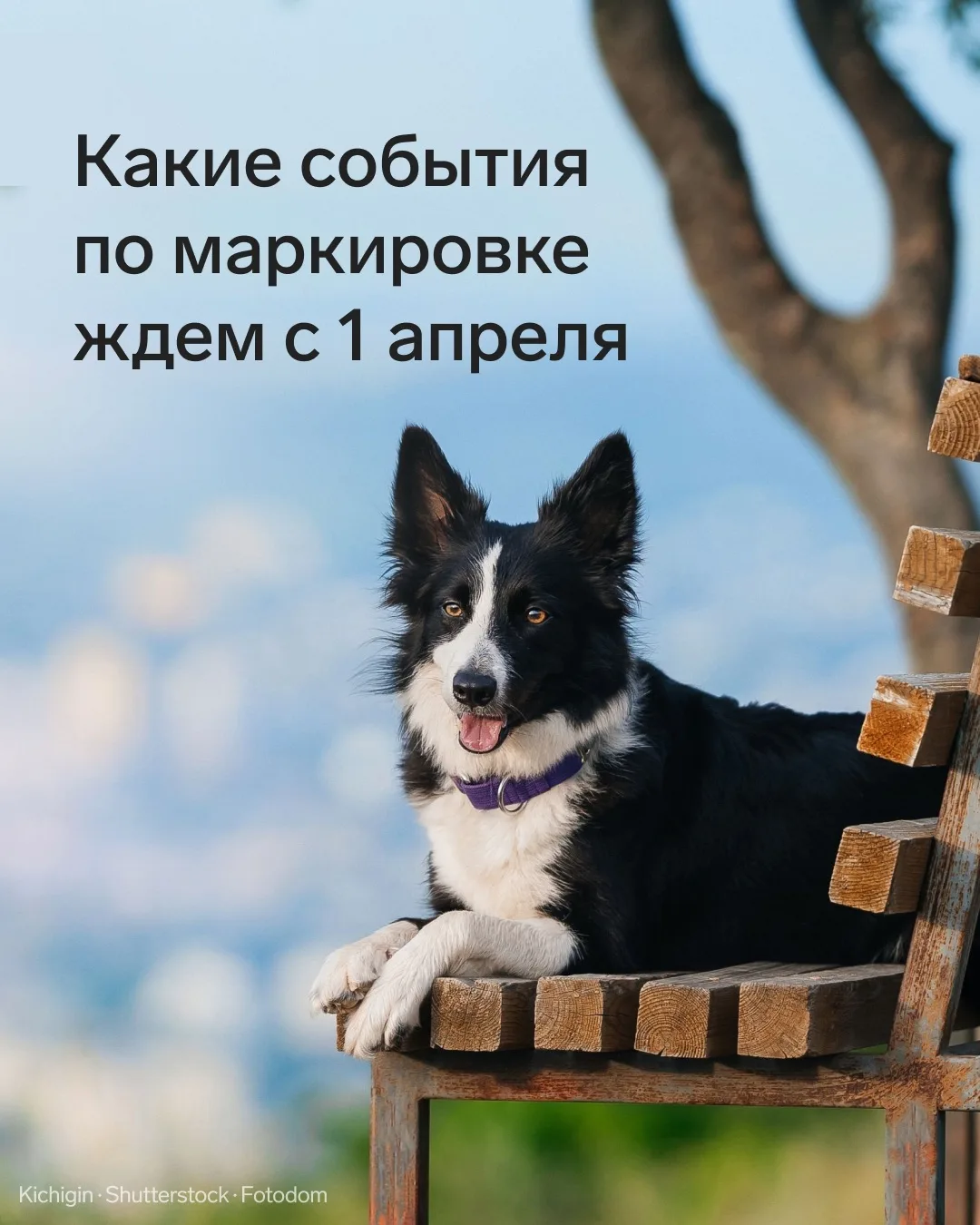 💡 Как работать с маркировкой с апреля   Обязательная маркировка с 1 апреля коснется растворимых напи