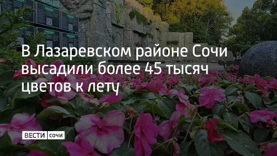 На улицах района высажено более 45 тысяч саженцев цветов, запланировано украсить газоны еще 20 тысяч