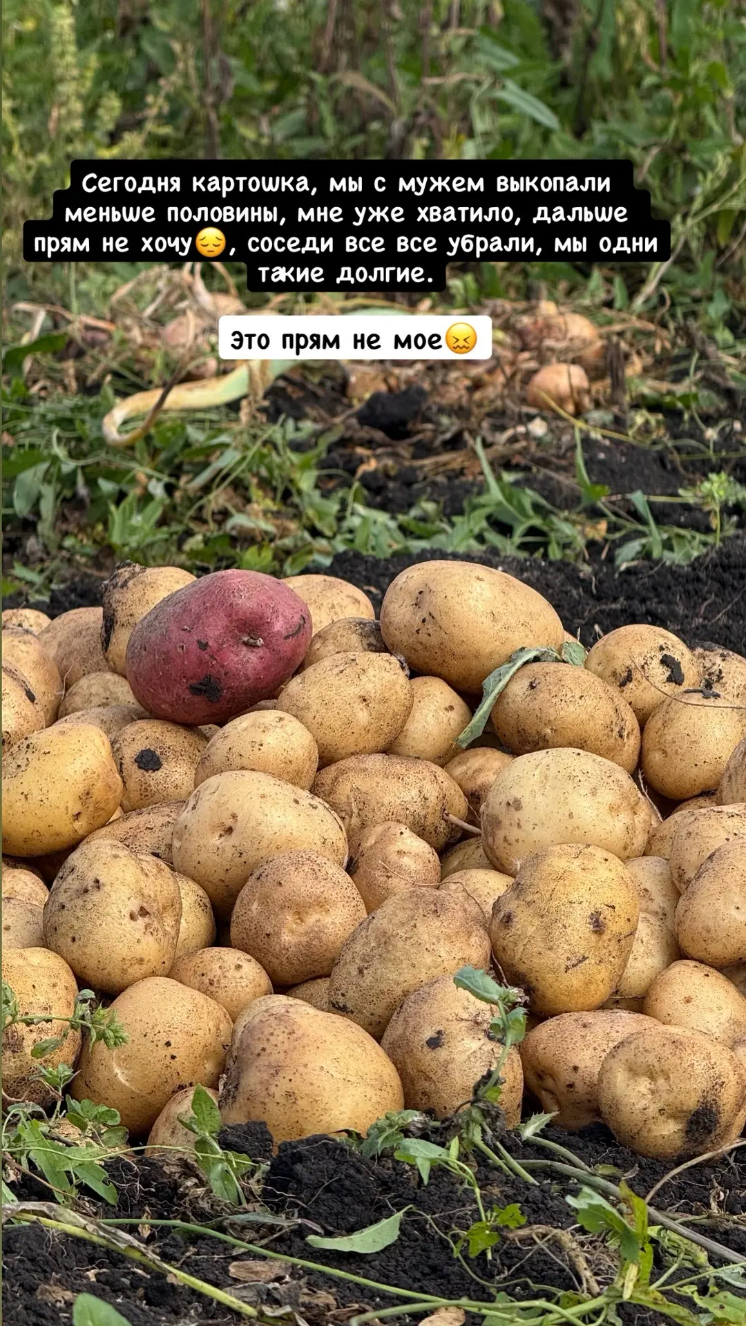 Суббота 👌