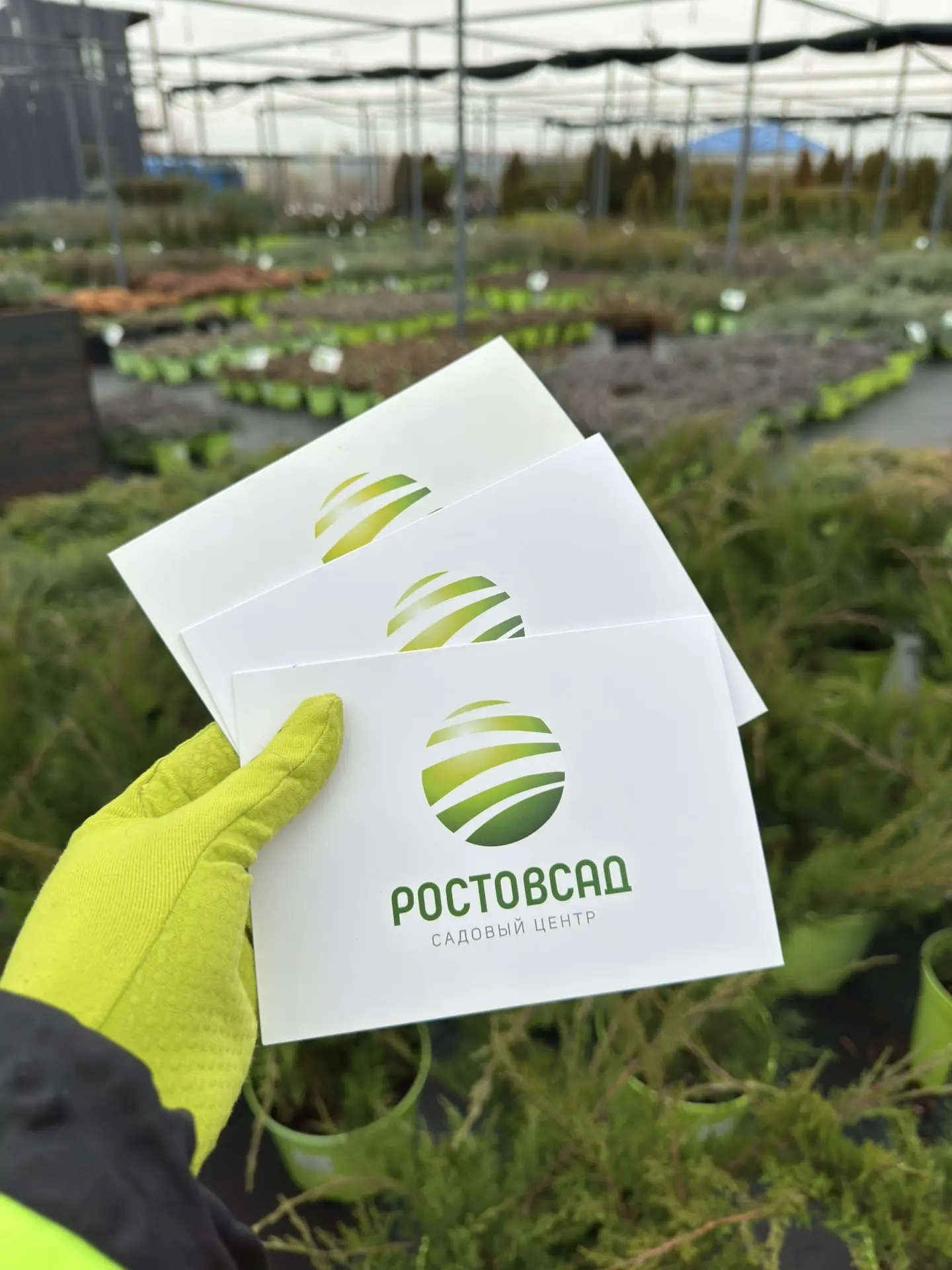 Подарочные сертификаты от садового центра РОСТОВСАД  Актуальный подарок к НГ для увлеченного садовод