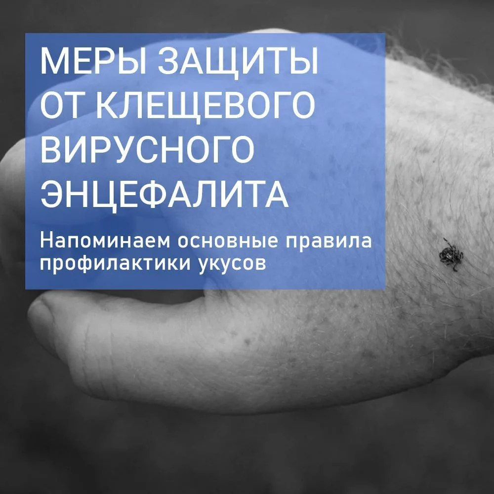 Как защитить себя от клещей, что делать в случае укуса?