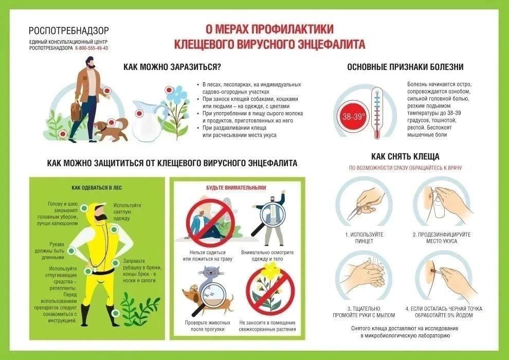 О противодействии распространению инфекций, передающихся с укусом клещей
