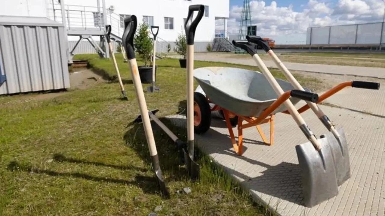 🌱 Эковолонтёрство с пользой: как уборка улиц вдвойне помогает ямальцам

В Надымском районе 330 чело