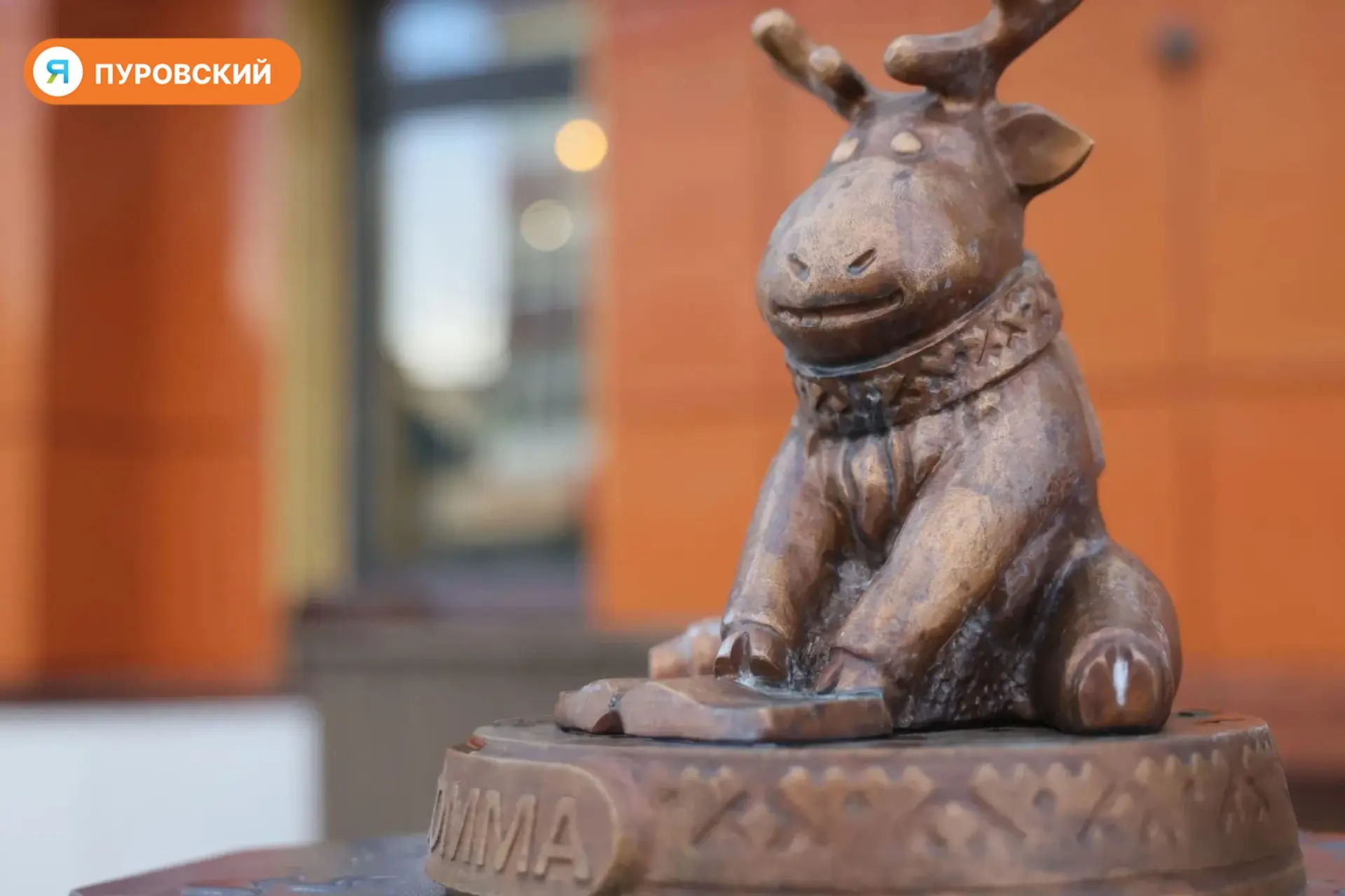 🦌А вы заметили, что в Тарко-Сале появились новые жители?