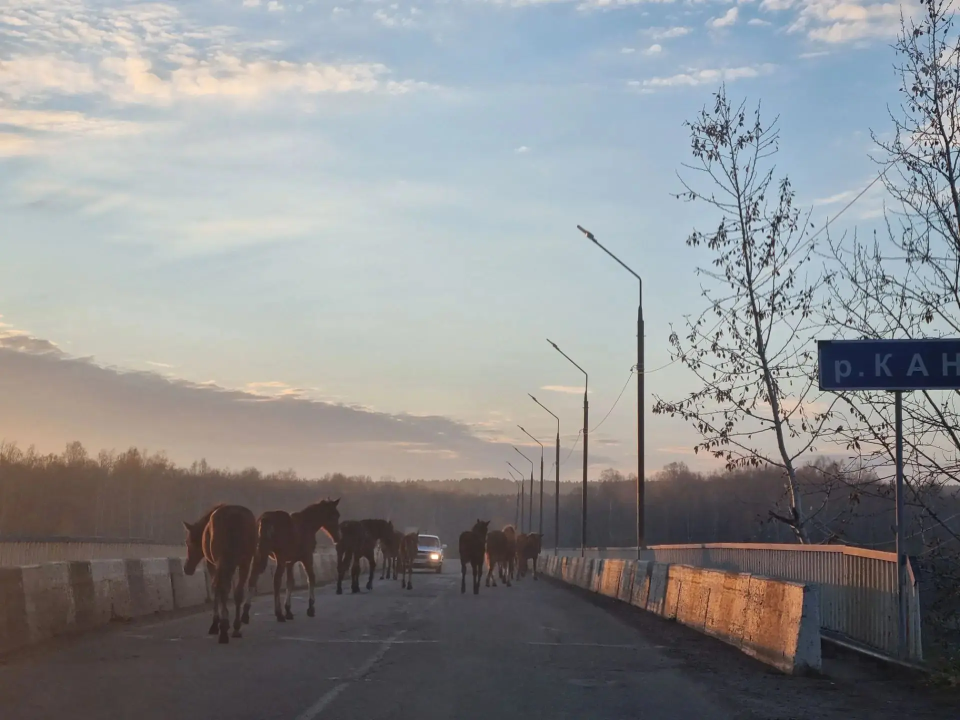 Конский мост