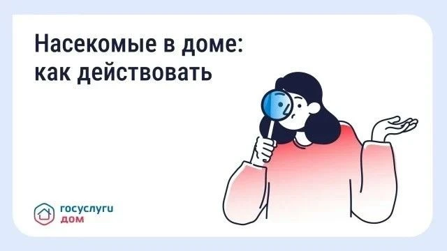 🐜 Борьба с насекомыми в многоквартирном доме

Появление тараканов, клопов, муравьёв или мокриц в по