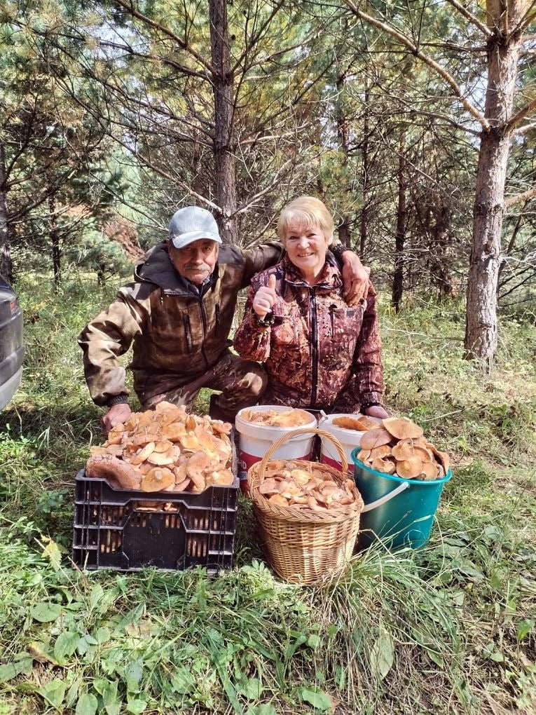 🍄‍🟫Плодотворно прошли выходные у любителей тихой охоты в Удмуртии