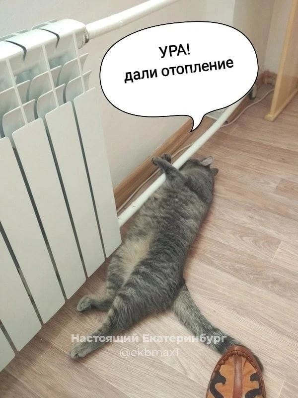 Дождались!