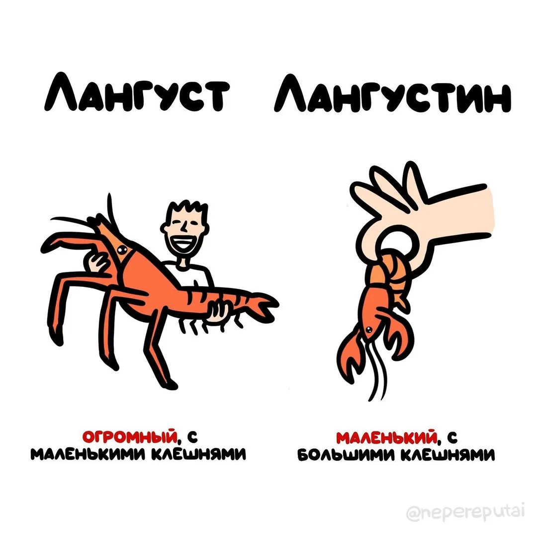 Дабы не переборщить с закуской к пиву... 🍺🦐🦞

Мы в МАХ