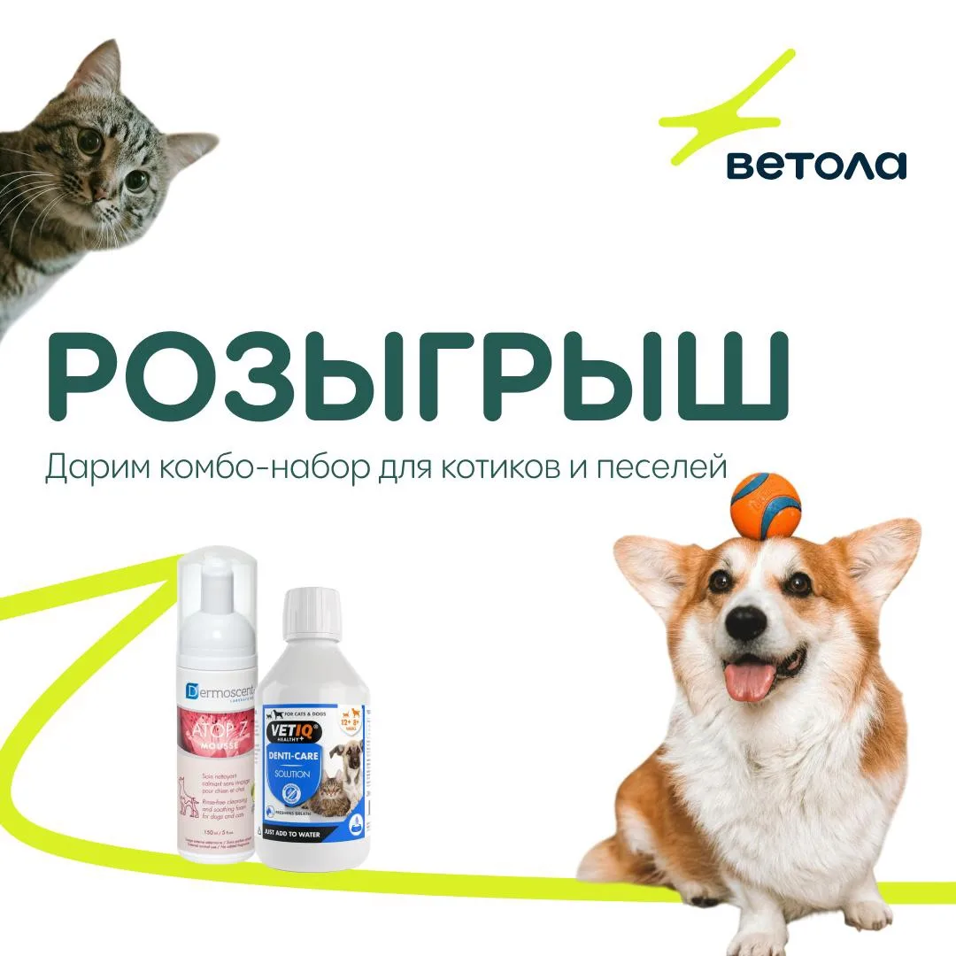 🎁 Дарим набор для ухода за питомцем дома и в путешествиях!