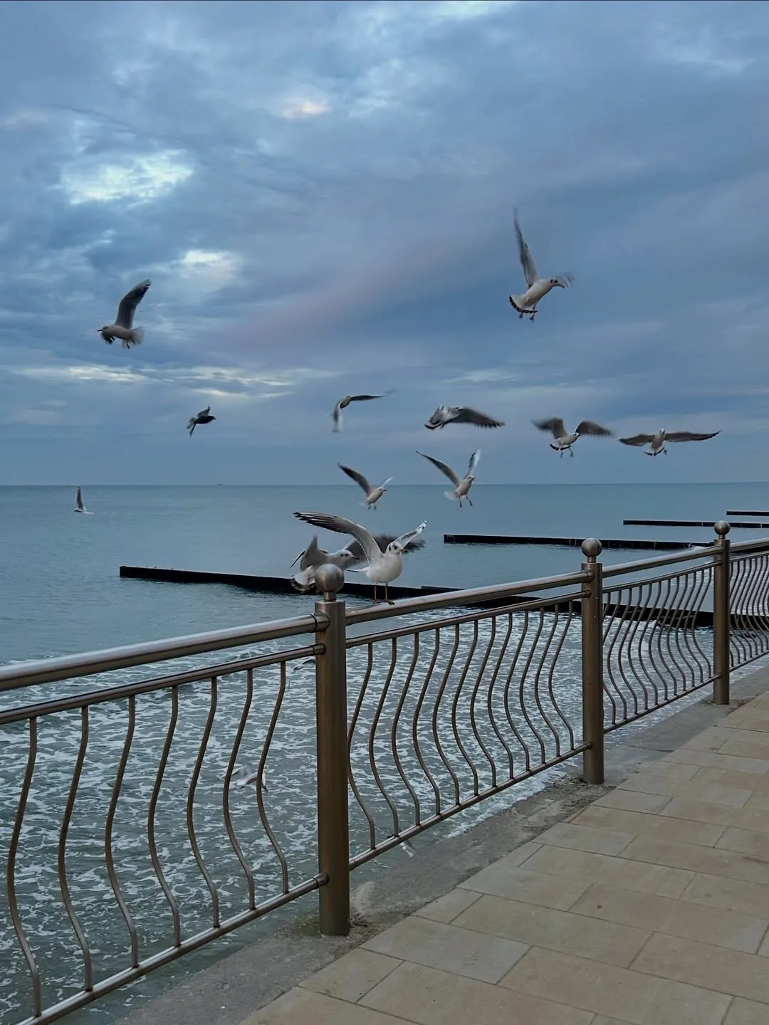 Атмосфера, в которую хочется инвестировать 🌊