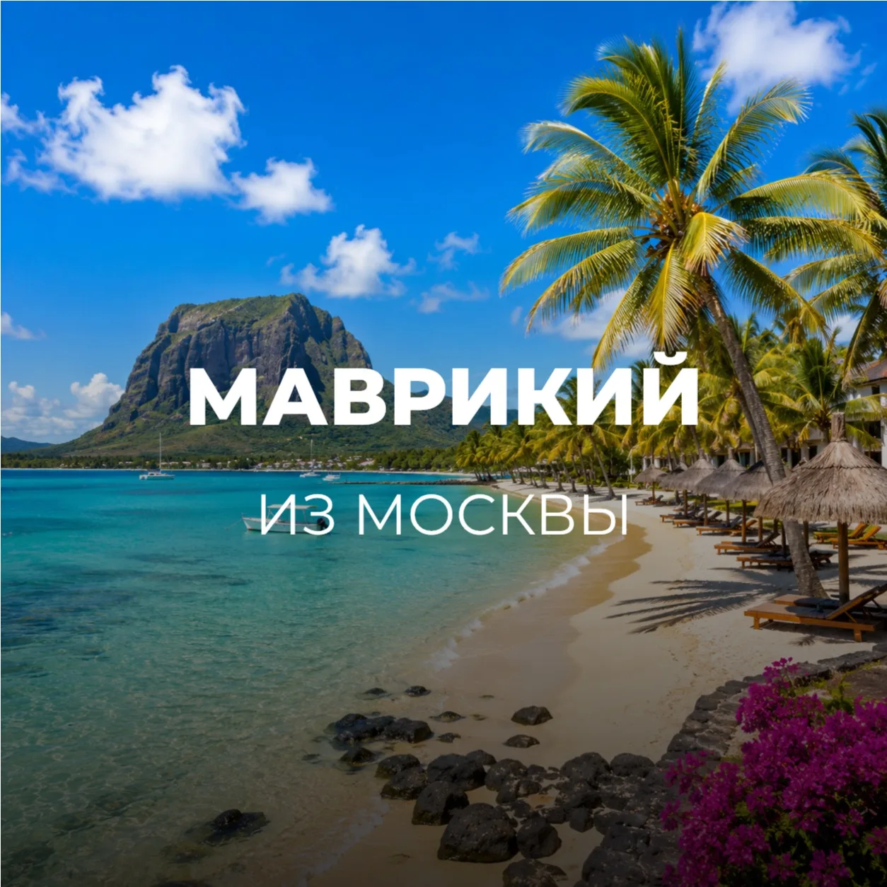 МАВРИКИЙ ИЗ МОСКВЫ🇲🇺