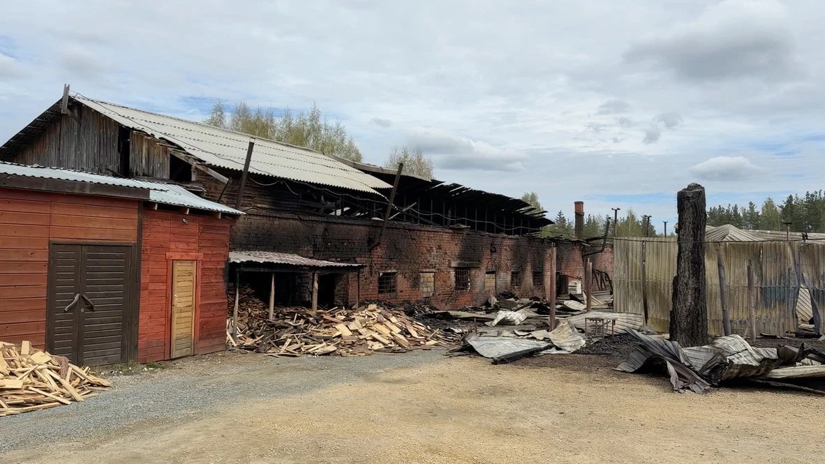 Сбор помощи неожиданно объявил звезда «Уральских пельменей» Дмитрий Соколов.  Актер решил поддержать