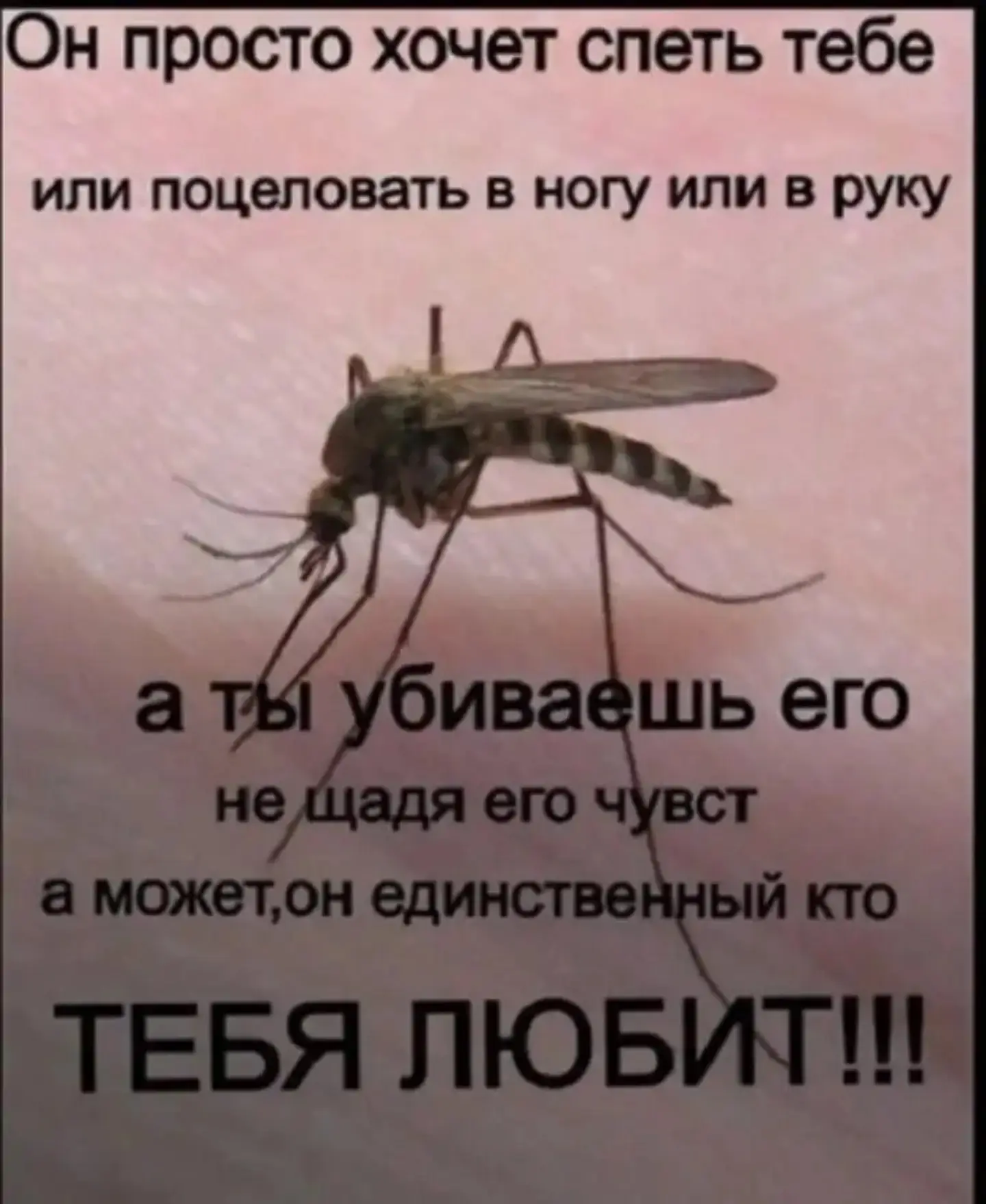 Подпишись на юмор 😂