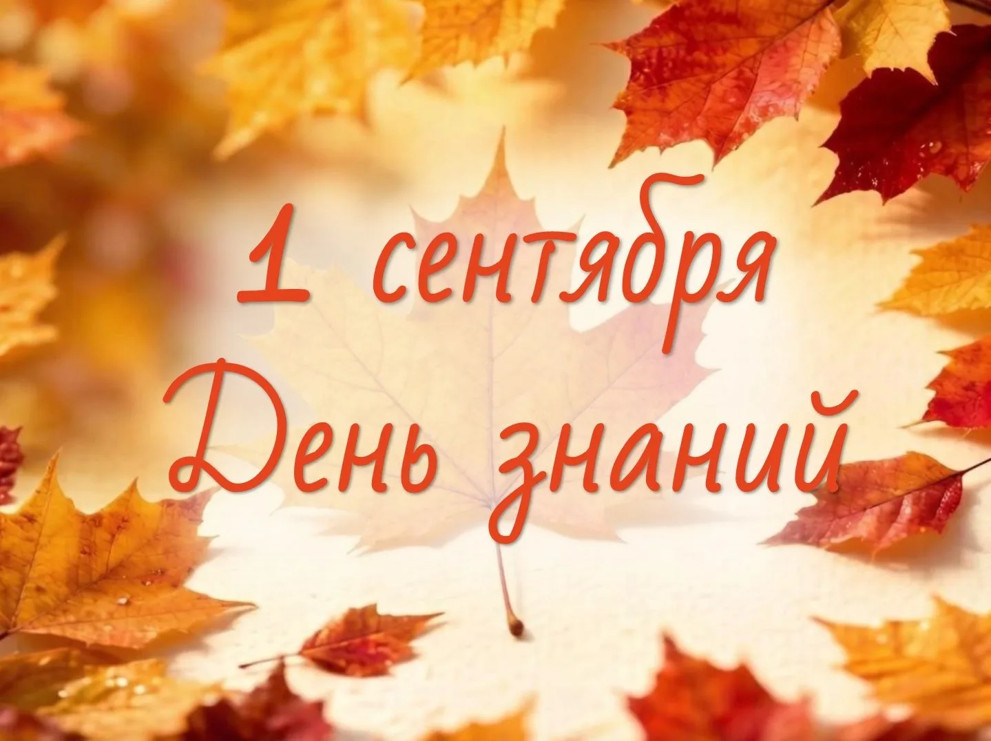 Дорогие ученики, студенты, уважаемые педагоги!