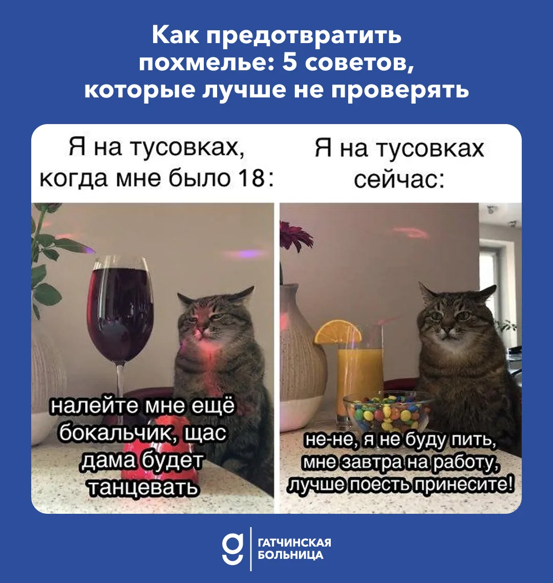 Как предотвратить похмелье: 5 советов, которые лучше не проверять