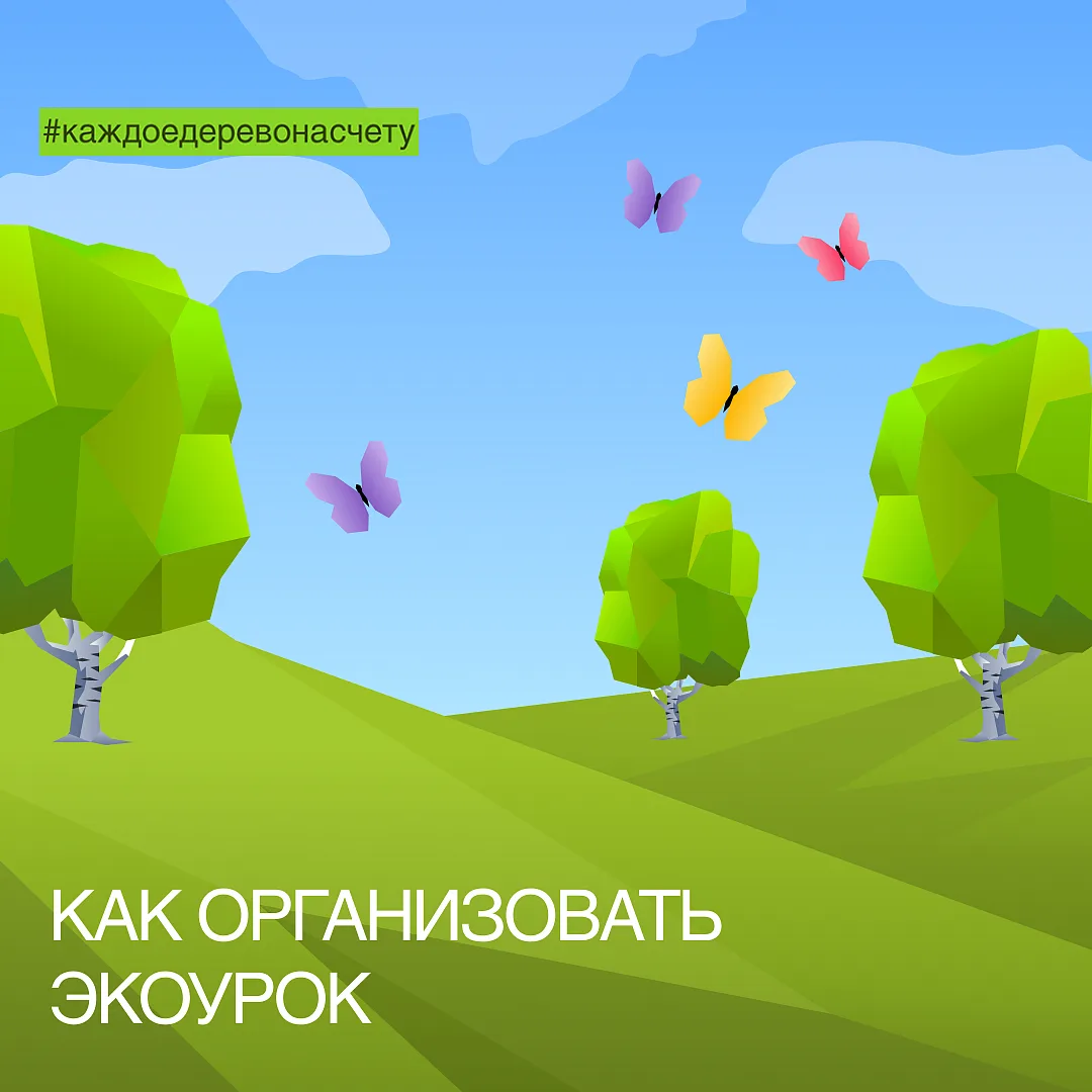 День экологического образования: как организовать экоурок 12 мая в России и странах СНГ отмечается Д
