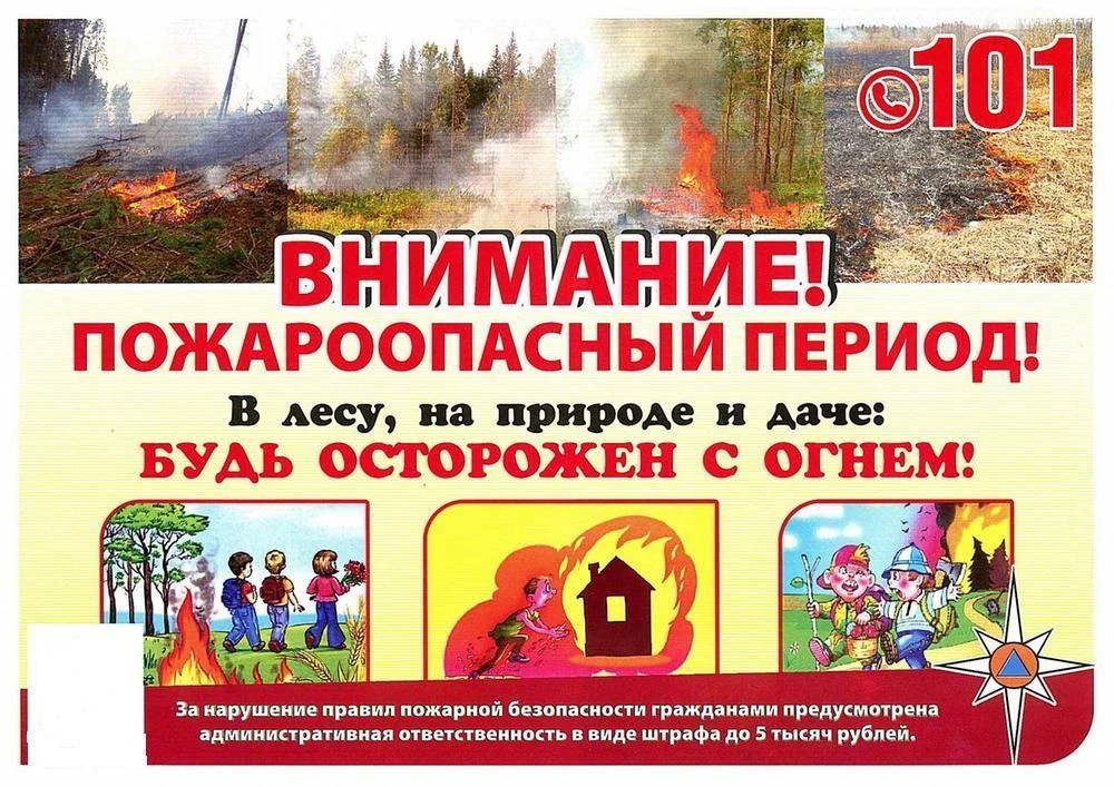 🔥 ОСТОРОЖНО, ПОЖАР! Прокуратура Челябинской области напоминает о правилах безопасности в лесу.

С н