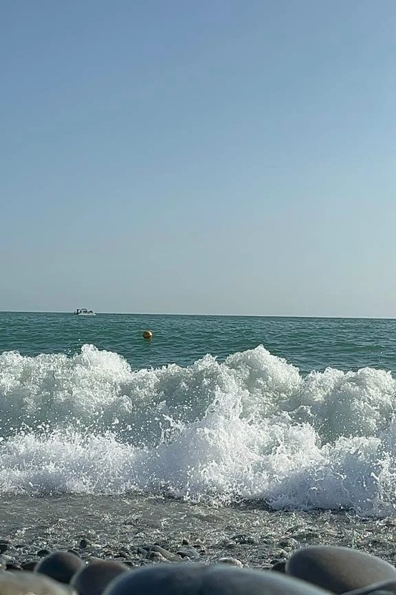 🏖 Пляжи Сириуса снова открыты — морская вода соответствует нормам