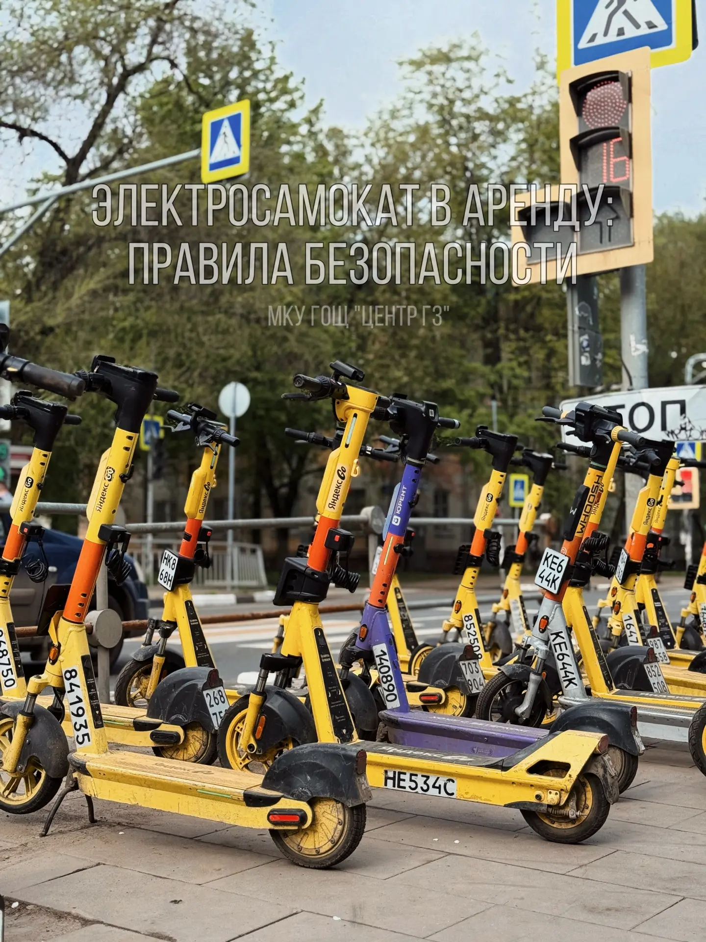 🛴 Берём электросамокат в аренду: правила безопасности