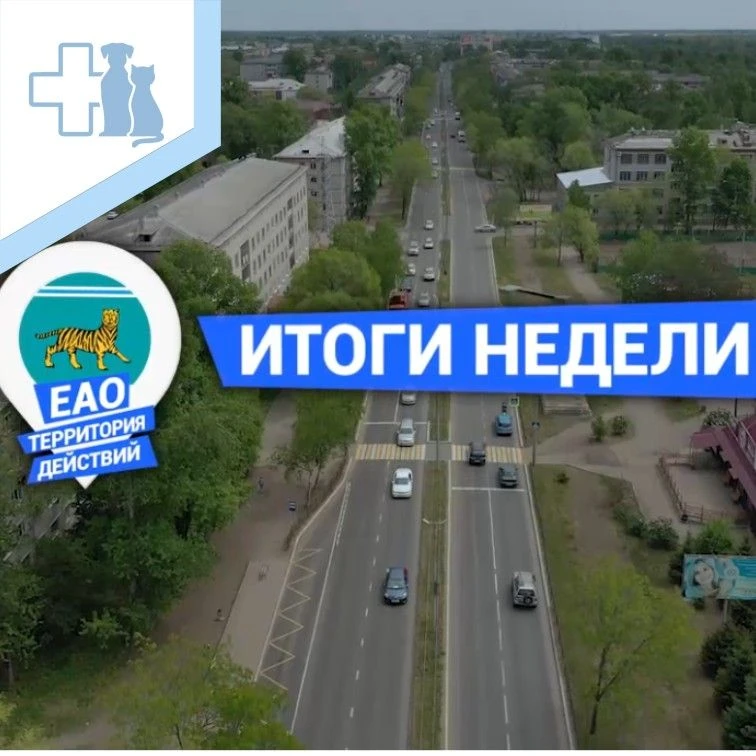 📅 Итоги недели!