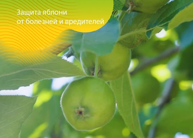 Дорогие друзья!