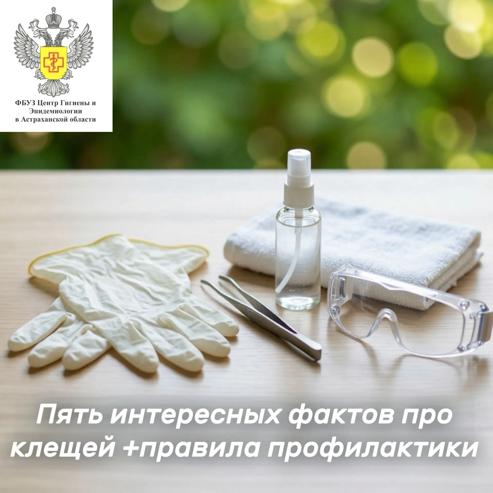 🕷️🧐 Пять интересных фактов о клещах + правила профилактики

Кровососущие клещи позвоночных являютс