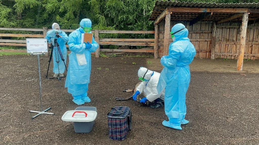 ⚡️В Туве прошли межрегиональные учения по ликвидации очага чумы мелких жвачных животных

На территор