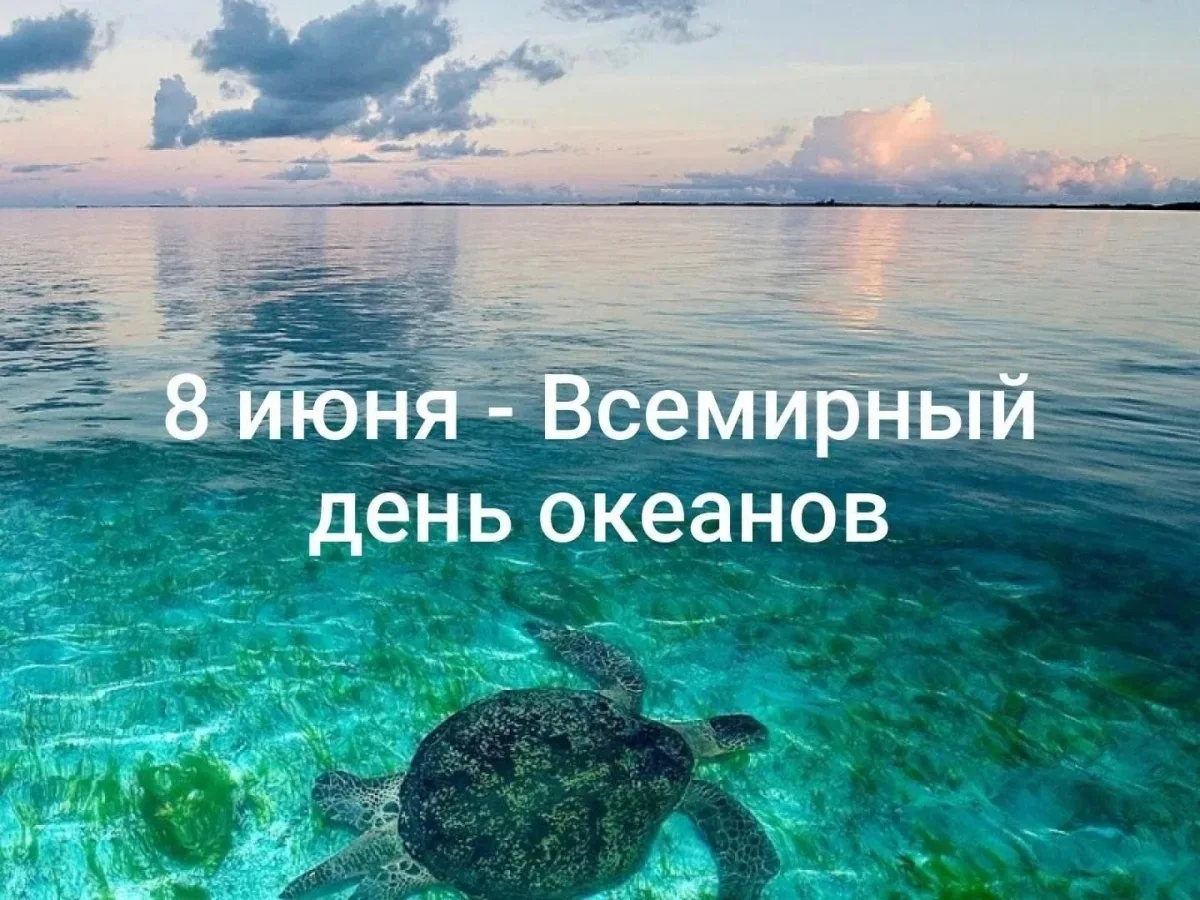 Неделя началась очень весело и познавательно в 3 группе "Лучики"!
