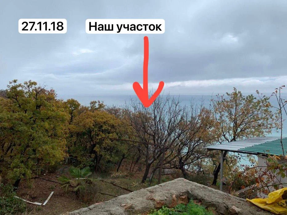 ☀️🌿 Доброе воскресное утро! 🌿☀️
