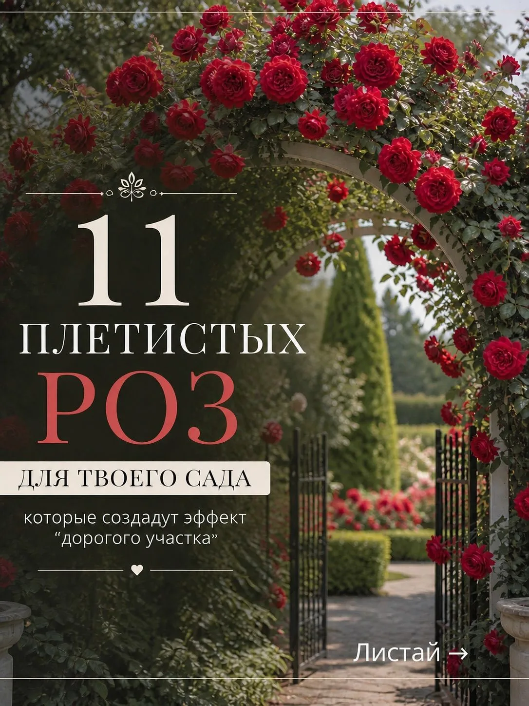 Плетистые розы для вашего сада 🌹🥰🌿🏡