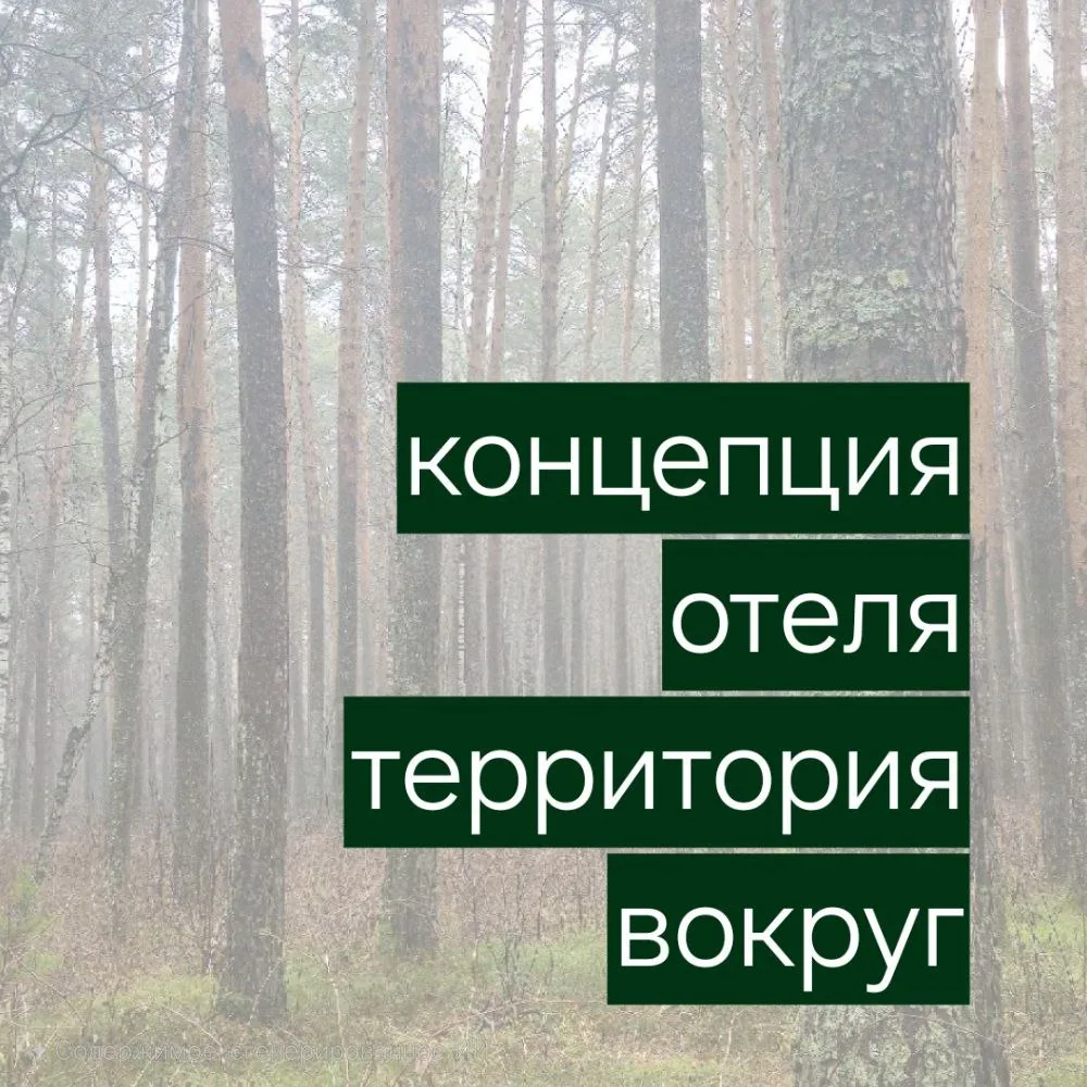 🍃Концепция места