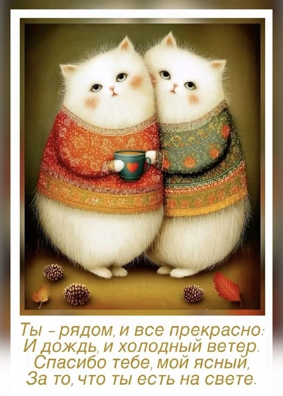 🌼Прикольные открытки