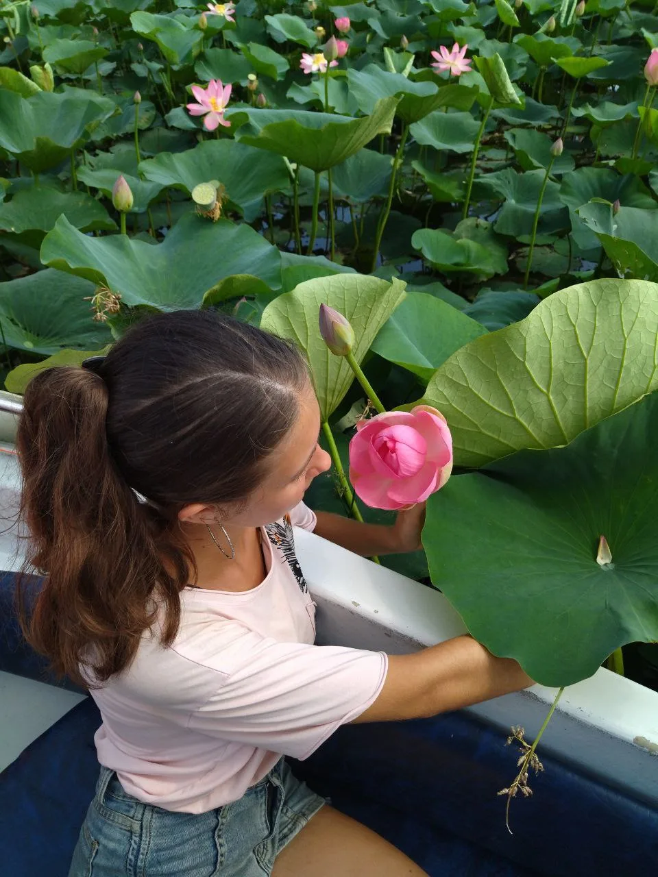 25.08 🌸Лотосы + Азовское море