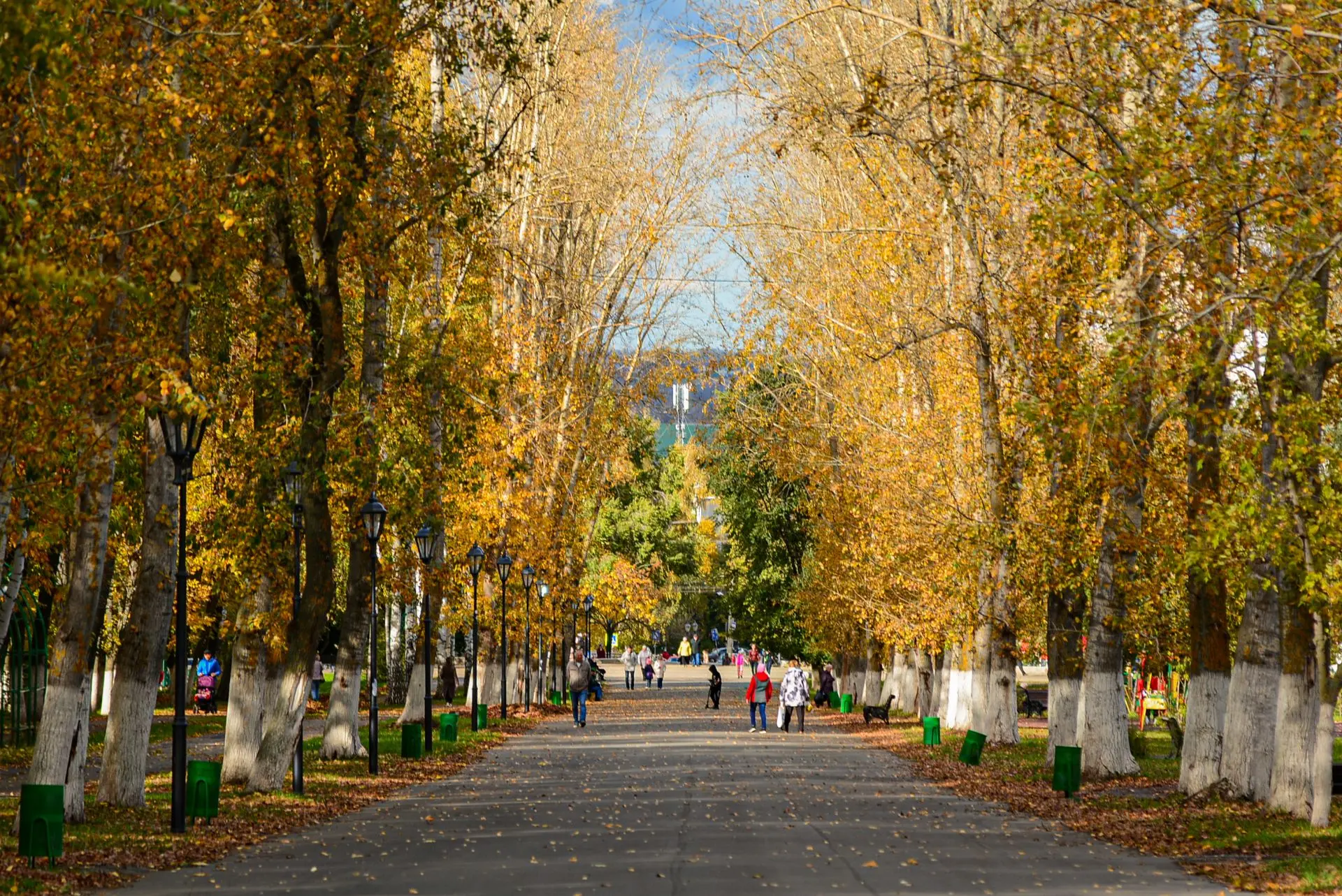 Совсем скоро город накроют золотые краски 🍂✨