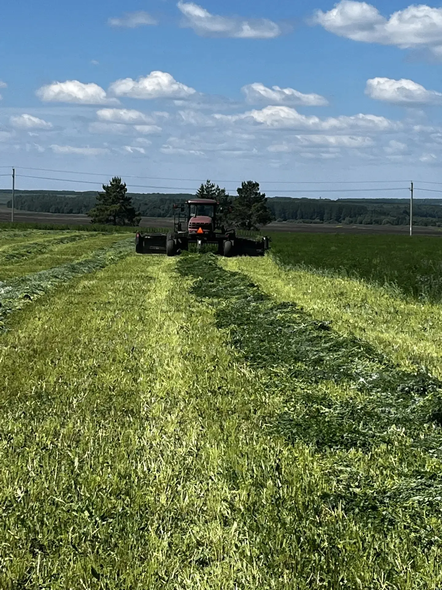 В хозяйствах Тукаевского района стартовала заготовка кормов.🌱
Первый укос зеленой массы — ответстве