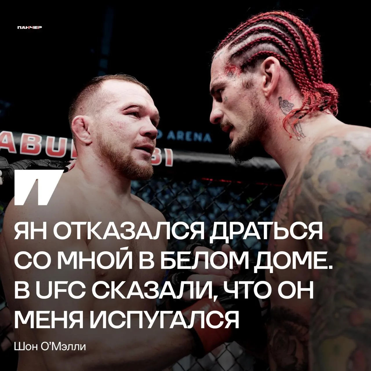 😱 Шон О’Мэлли обвинил Петра Ян в трусости