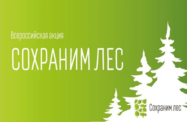 VIII сезон акции «Сохраним лес» стартовал 21 августа в рамках нацпроекта «Экологическое...