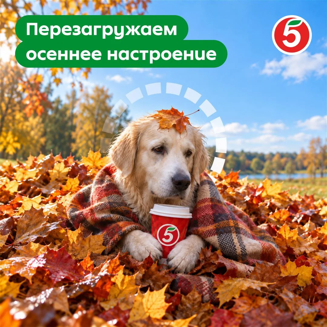Что-то настрик не очень? Так надо просто его перезагрузить, и всё заработает. Рассказыв...