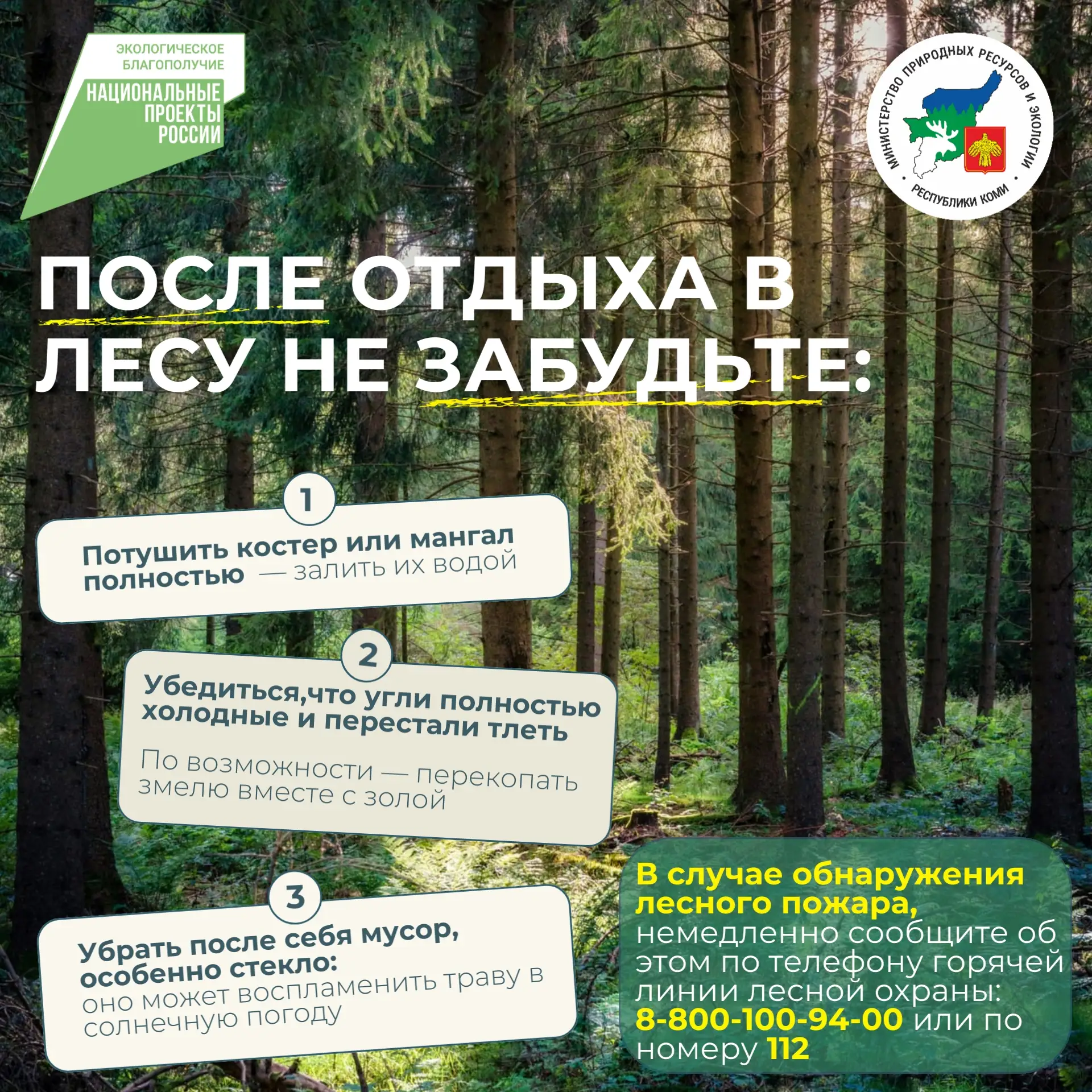 🔥 Оперативная обстановка в лесах Республики Коми на 16 июня