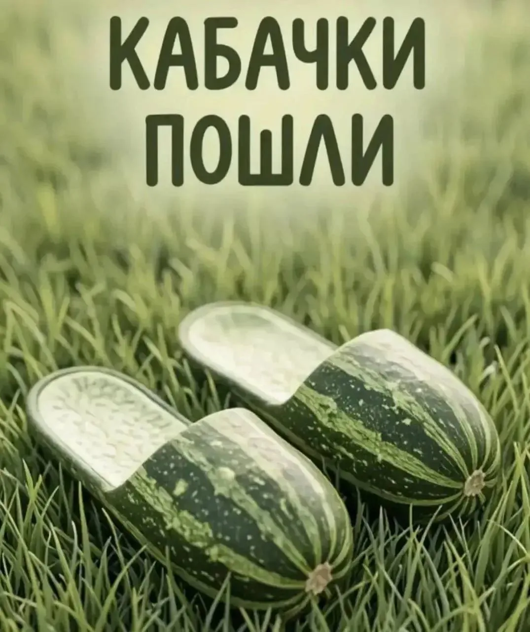 ⚡️ Начинаем скрываться от дачников!

✅ Папа в ТГ | Папа в MAX