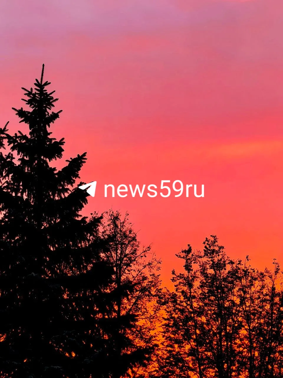 Ну вы точно сделали фото 😍